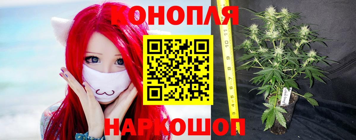 Ступино  Каннабис VHQ  Бошки Шишки Ganja  Марихуана MAZAR  Вход с VPN 
